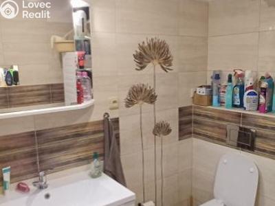 Prodej rodinného domu Třebíz, Třebíz č. 5