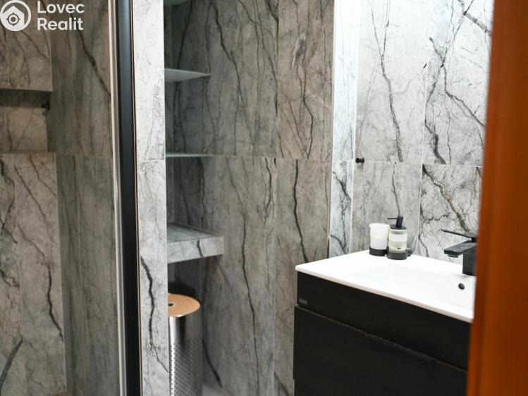 Pronájem bytu 2+KK Praha, Družstevní č. 6