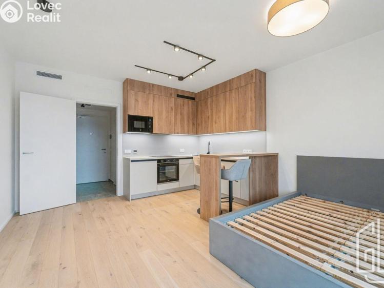 Pronájem bytu 1+KK Praha 4, Modřany, Československého exilu 2424/6 č. 3