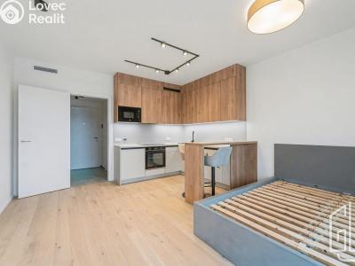 Pronájem bytu 1+KK Praha 4, Modřany, Československého exilu č. 3