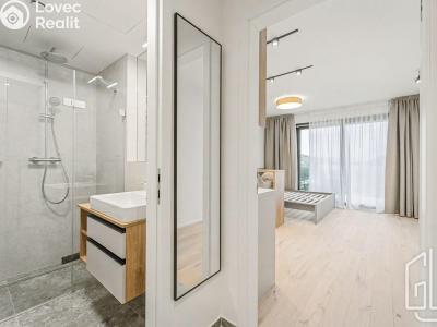 Pronájem bytu 1+KK Praha 4, Modřany, Československého exilu č. 4