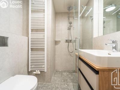 Pronájem bytu 1+KK Praha 4, Modřany, Československého exilu č. 5