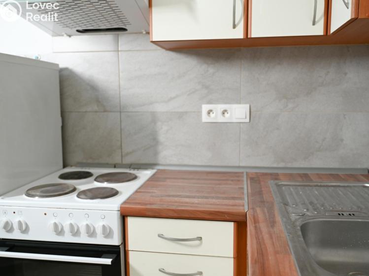 Pronájem bytu 1+1 Praha, Družstevní č. 10