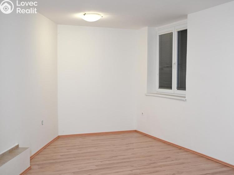 Pronájem bytu 1+1 Praha, Družstevní č. 1