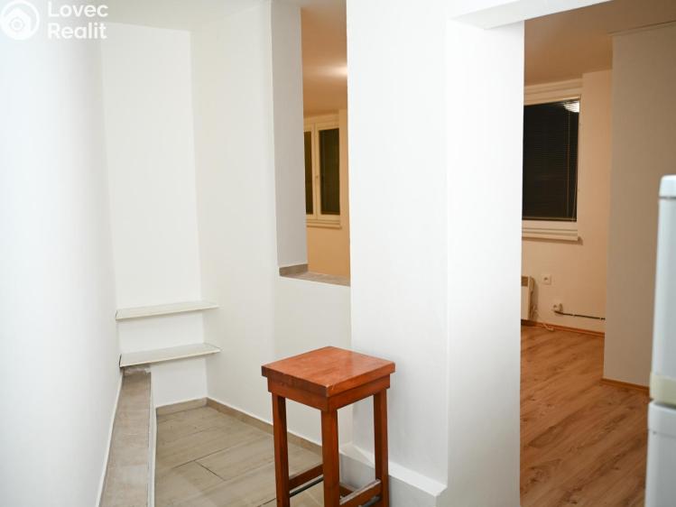 Pronájem bytu 1+1 Praha, Družstevní č. 3