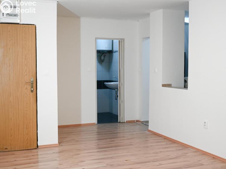 Pronájem bytu 1+1 Praha, Družstevní č. 4