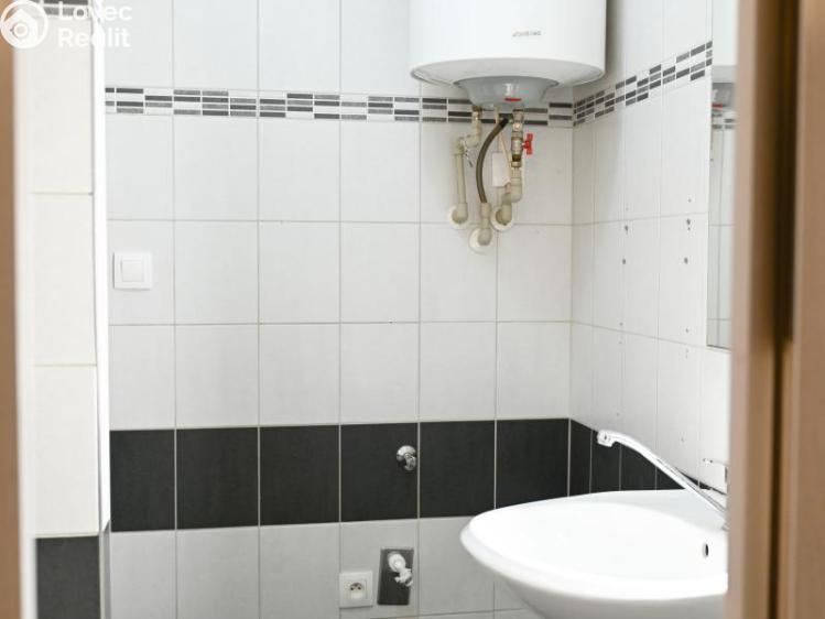 Pronájem bytu 1+1 Praha, Družstevní č. 5