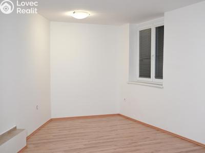 Pronájem bytu 1+1 Praha, Družstevní č. 1