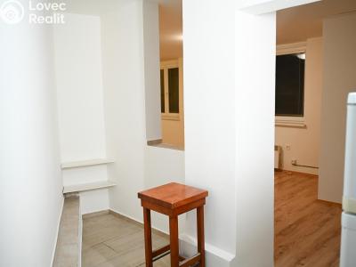 Pronájem bytu 1+1 Praha, Družstevní č. 3