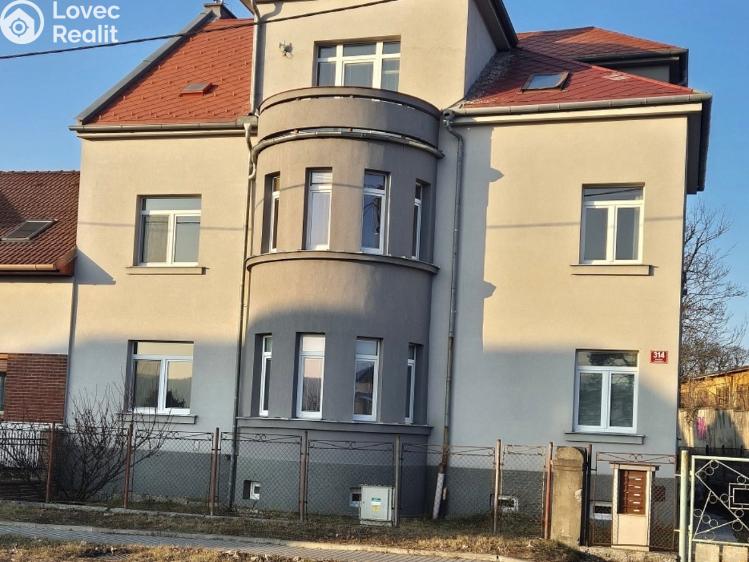 Pronájem bytu 1+1 Hranice, Hranická č. 1