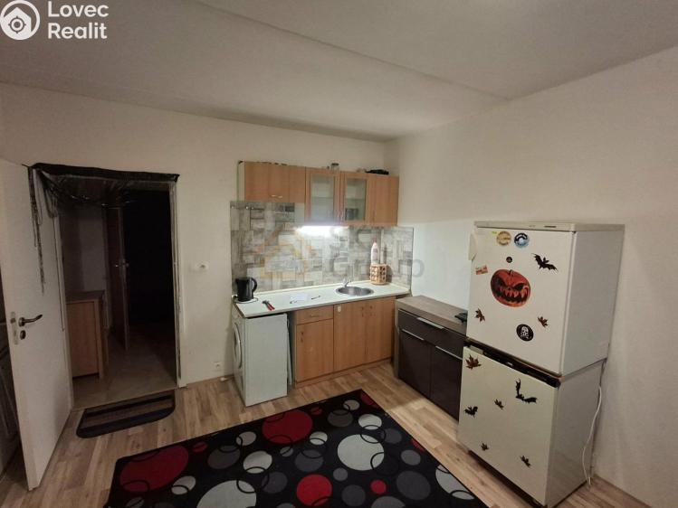 Pronájem bytu 1+KK Karlovy Vary, U Koupaliště č. 1