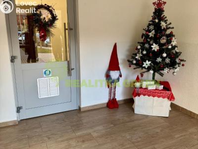 Pronájem bytu 2+1 Slušovice, Padělky č. 2