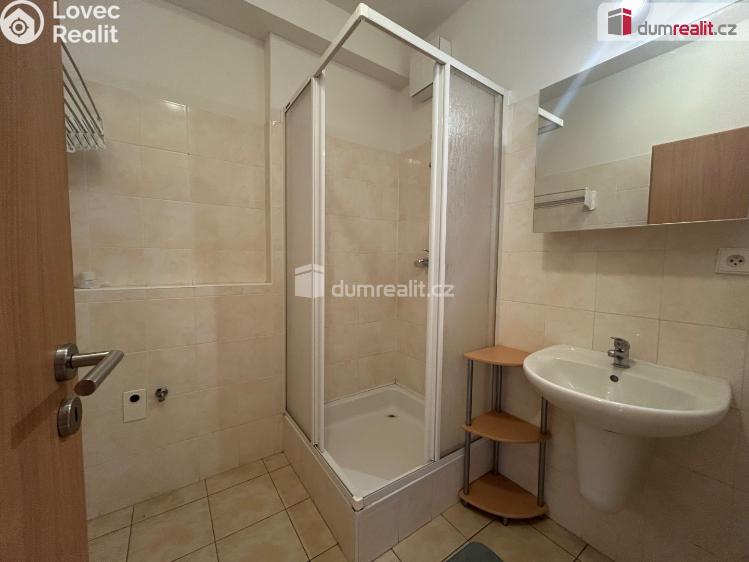 Pronájem bytu 1+KK Kolín, Mlýnská č. 15