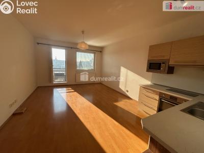 Pronájem bytu 1+KK Kolín, Mlýnská č. 6