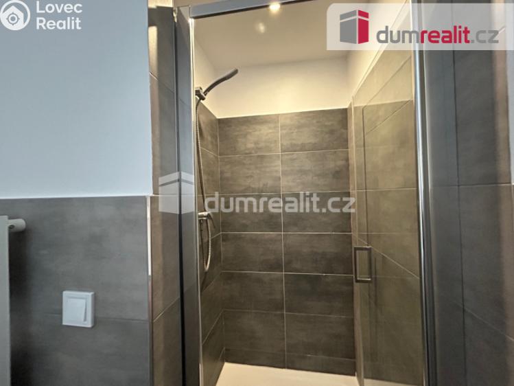 Pronájem bytu 2+1 Kolín, Na Magistrále č. 3