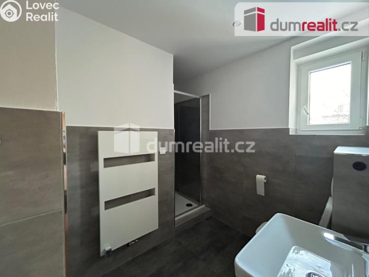 Pronájem bytu 2+1 Kolín, Na Magistrále č. 6