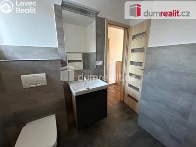 Pronájem bytu 2+1 Kolín, Na Magistrále č. 2