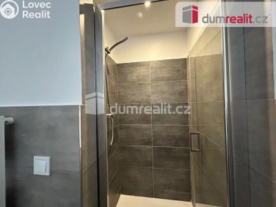 Pronájem bytu 2+1 Kolín, Na Magistrále č. 3