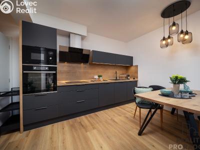 Sale apartment 1+KK Lipno nad Vltavou č. 3