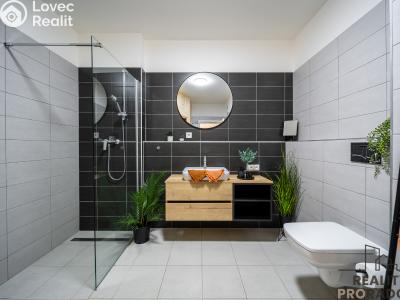 Sale apartment 1+KK Lipno nad Vltavou č. 4