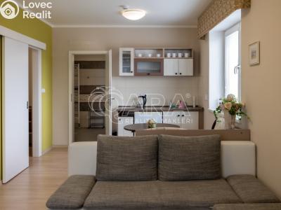 Pronájem bytu 1+KK Starý Jičín č. 1