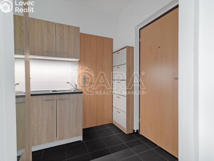 Pronájem bytu 1+1 Ostrava, Arbesova 1061/13 č. 10