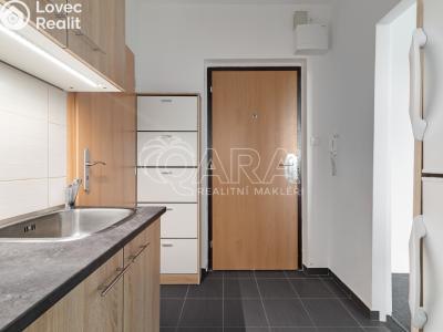 Pronájem bytu 1+1 Ostrava, Arbesova č. 5