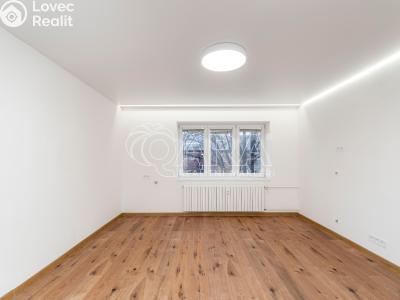 Pronájem bytu 2+1 Ostrava, U Nové školy č. 3