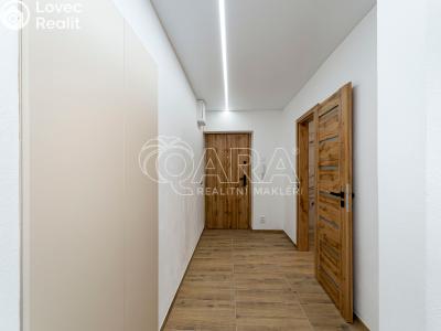 Pronájem bytu 2+1 Ostrava, U Nové školy č. 6