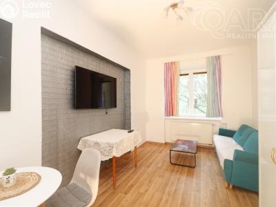 Pronájem bytu 2+1 Praha, Vrchlického č. 1