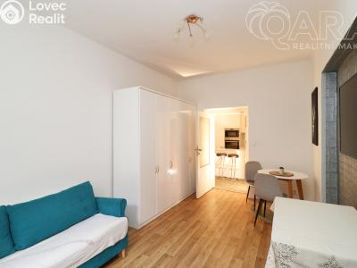 Pronájem bytu 2+1 Praha, Vrchlického č. 2