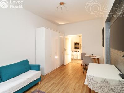 Pronájem bytu 2+1 Praha, Vrchlického č. 4