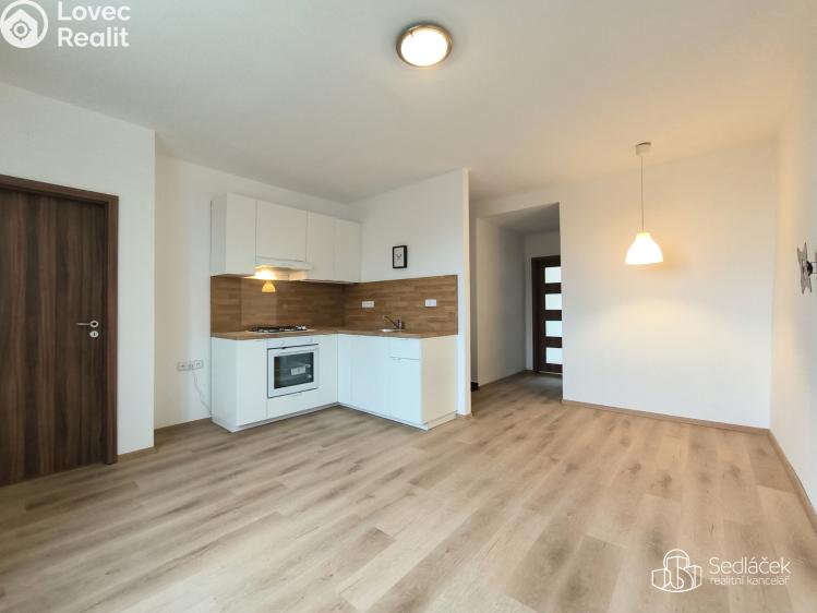 Pronájem bytu 2+1 Sokolov, Heyrovského č. 1