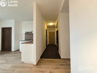 Pronájem bytu 2+1 Sokolov, Heyrovského č. 5