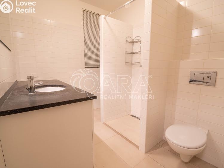 Pronájem bytu 2+KK Praha, Mánesova č. 11