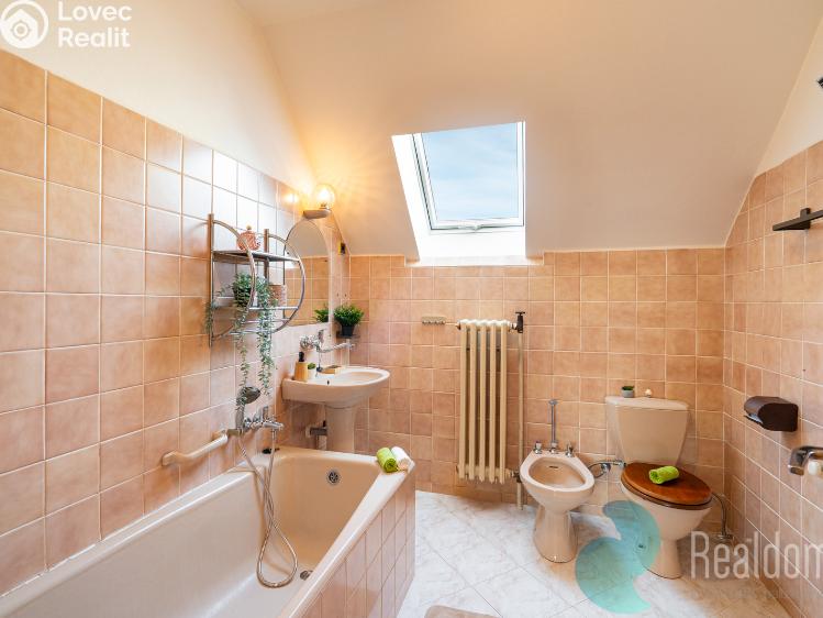 Продажа семейного дома Litvínovice č. 14