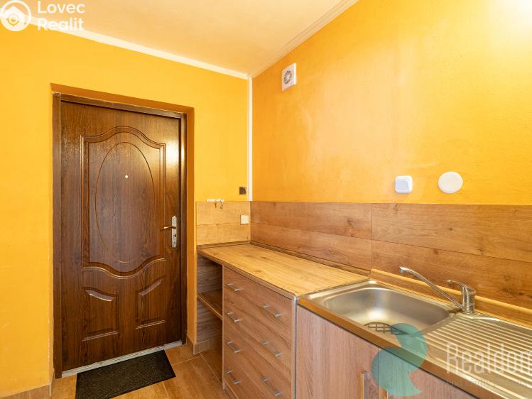 Продажа семейного дома Litvínovice č. 17