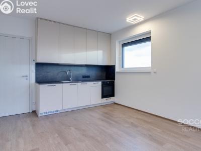 Pronájem bytu 1+KK Praha, Šternovská č. 1