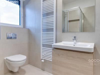 Pronájem bytu 1+KK Praha, Šternovská č. 6