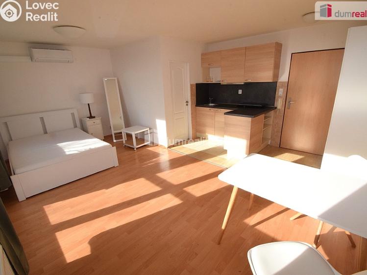 Pronájem bytu 1+KK Praha 5, Nad Palatou č. 1