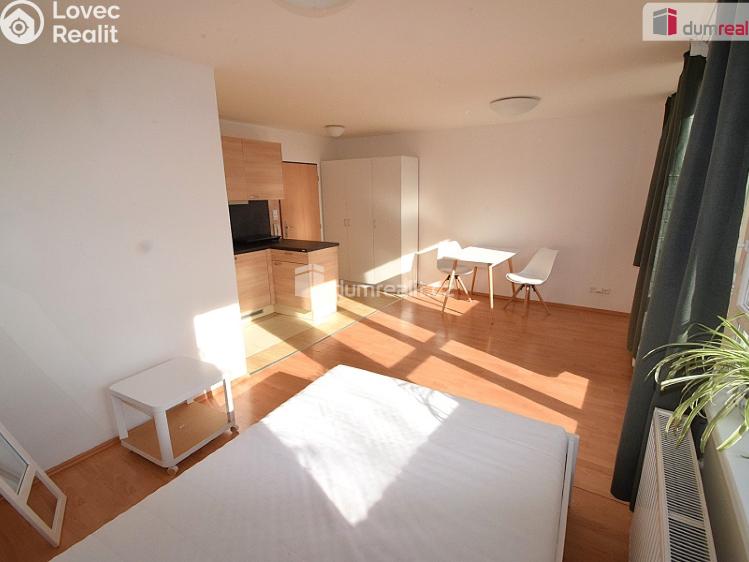 Pronájem bytu 1+KK Praha 5, Nad Palatou č. 3