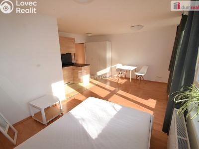 Pronájem bytu 1+KK Praha 5, Nad Palatou č. 3