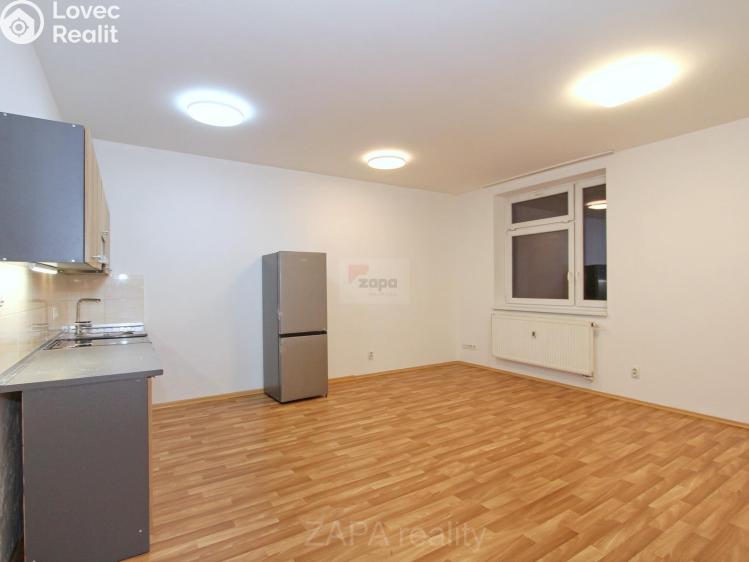 Pronájem bytu 1+KK Praha, Mariánská 995/62 č. 3