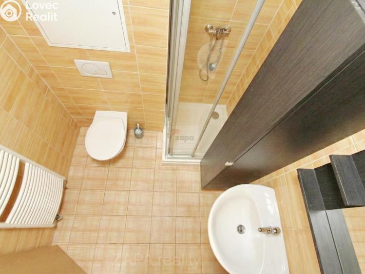 Pronájem bytu 1+KK Praha, Mariánská 995/62 č. 5