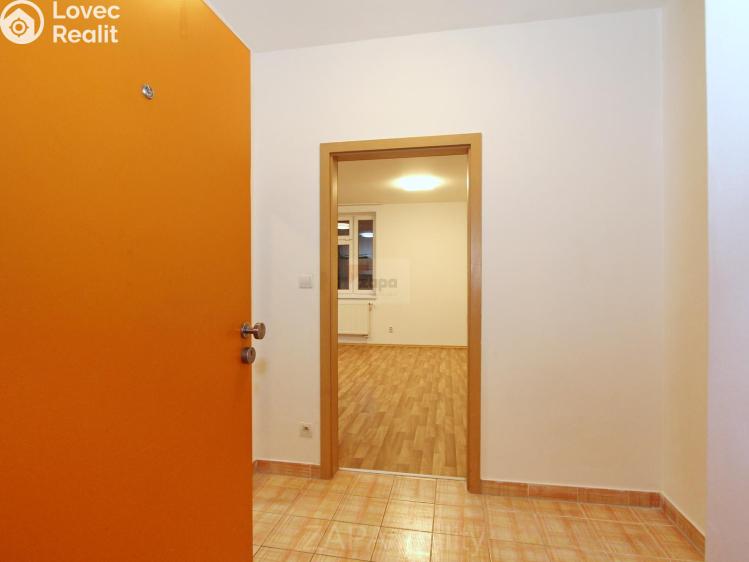 Pronájem bytu 1+KK Praha, Mariánská 995/62 č. 7