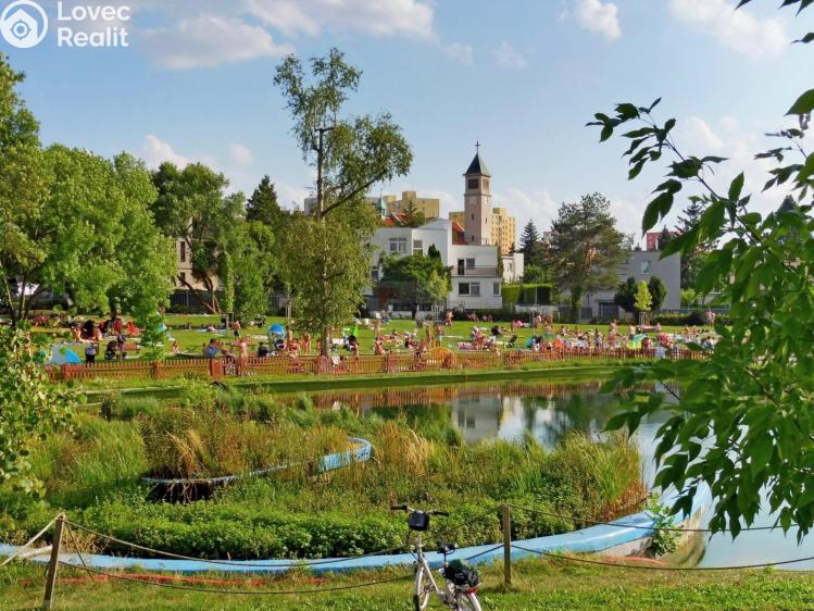 Pronájem bytu 1+KK Praha, Mariánská 995/62 č. 9