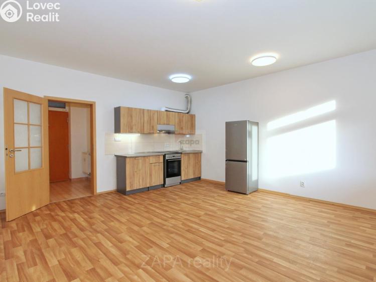 Rent apartment 1+KK Praha, Mariánská 995/62 č. 10