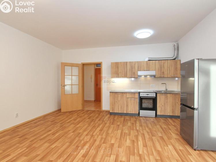 Rent apartment 1+KK Praha, Mariánská 995/62 č. 1