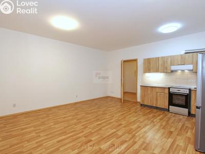 Pronájem bytu 1+KK Praha, Mariánská č. 2