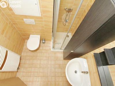 Pronájem bytu 1+KK Praha, Mariánská č. 5